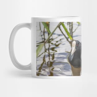 Hawaiian coot Mug